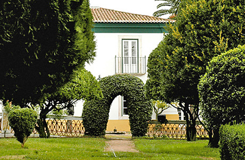 City-Image