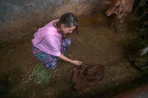 ranjits svaasa heritage boutique haveli