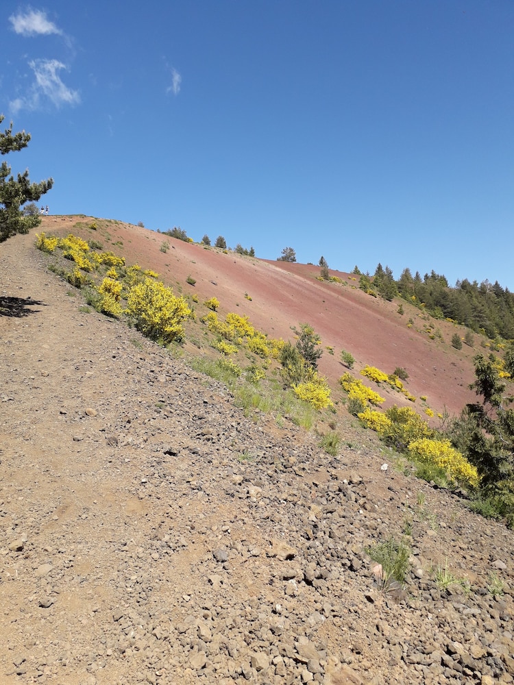 the originals access hotel clermont ferrand nord