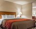 comfort inn and suites thatcher safford
