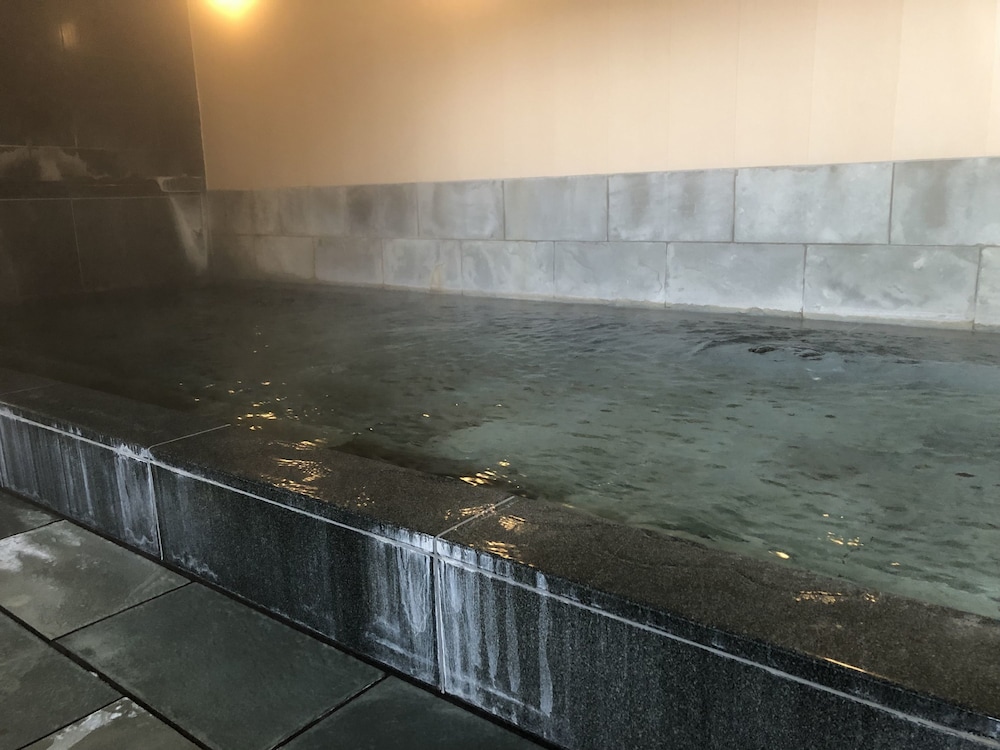 apa hotel toyama ekimae