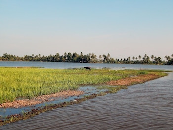 backwater retreat resort kumarakom