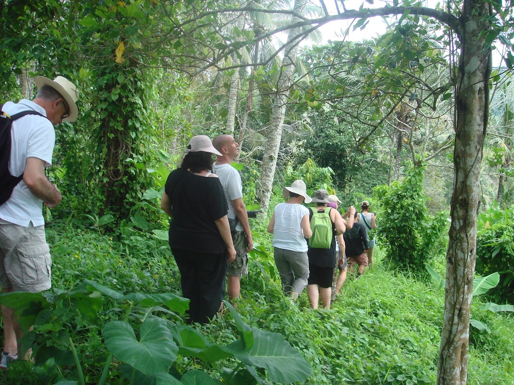 cempaka belimbing villas