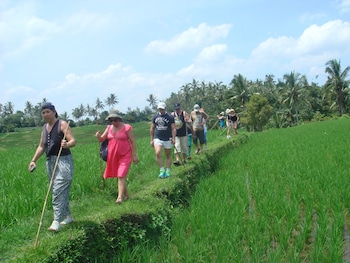 cempaka belimbing villas