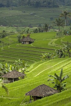 cempaka belimbing villas