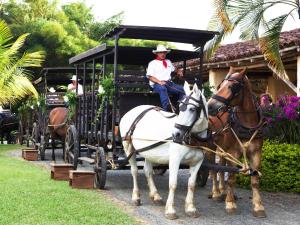decameron panaca all inclusive