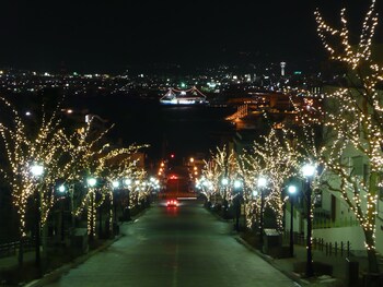 Hotel Enoe Hakodate,Near Sakamoto Ryoma Museum,3 star