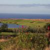 oubaai hotel golf and spa