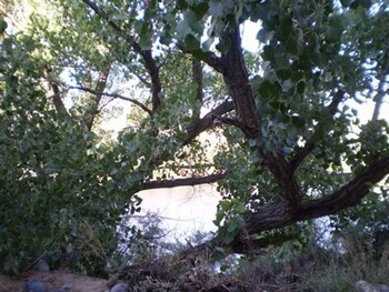 silver river adobe inn