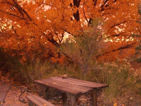 silver river adobe inn