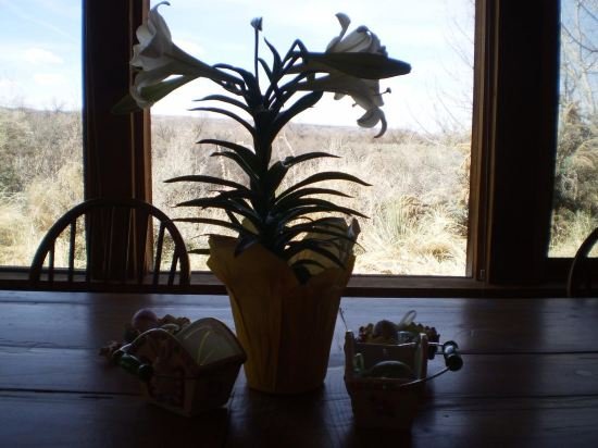 silver river adobe inn