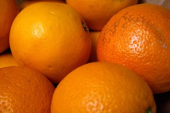 hotel universal murcia