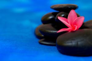 sanctuary rarotonga on the beach adults only