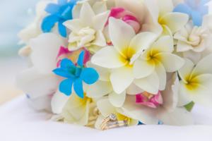 sanctuary rarotonga on the beach adults only