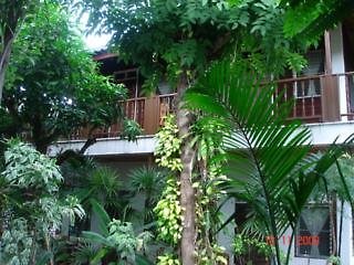 Golden Triangle Palace,Fang>>Chiang Rai,3 star