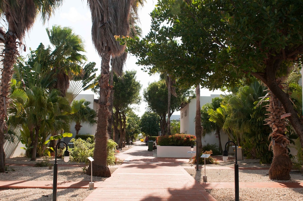 van der valk plaza beach and dive resort bonaire