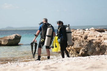 van der valk plaza beach and dive resort bonaire