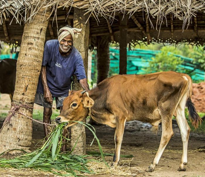 dune eco village and spa