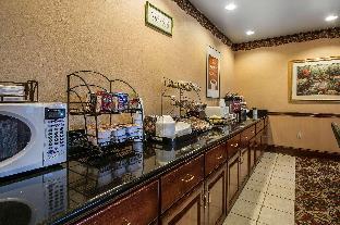 Econo Lodge Inn And Suites,In The City Center,3 star