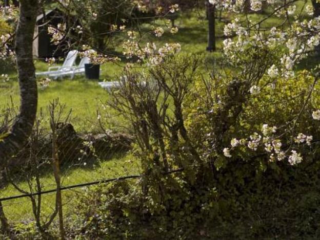 logis hotel restaurant le mont aigoual