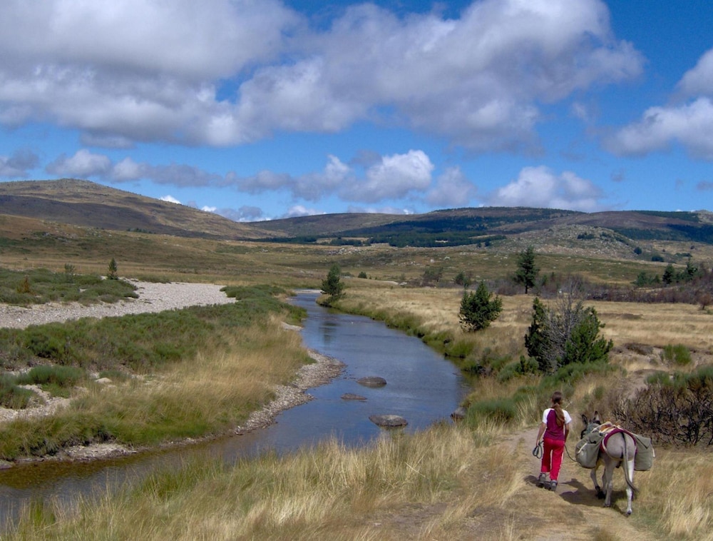 logis hotel restaurant le mont aigoual