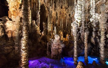 logis hotel restaurant le mont aigoual