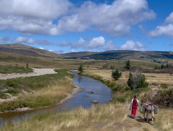 logis hotel restaurant le mont aigoual