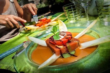 logis hotel restaurant le mont aigoual