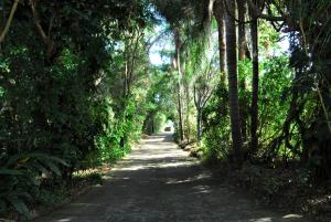 Emeraldene Inn & Eco-Lodge,Fraser Island>>Fraser Coast,4 star