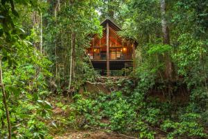 The Canopy Rainforest Treehouses And Wildlife Sanctuary,Atherton Tablelands>>Atherton,4 star