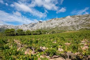 odalys apparthotel le tholonet