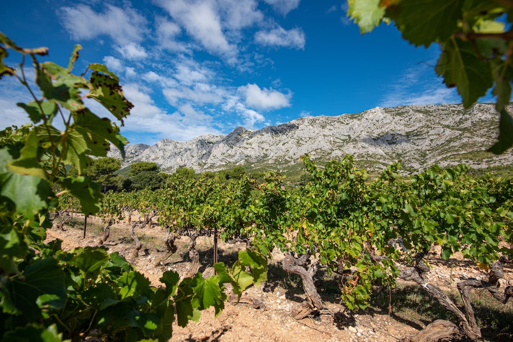 odalys apparthotel le tholonet