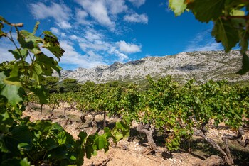 odalys apparthotel le tholonet