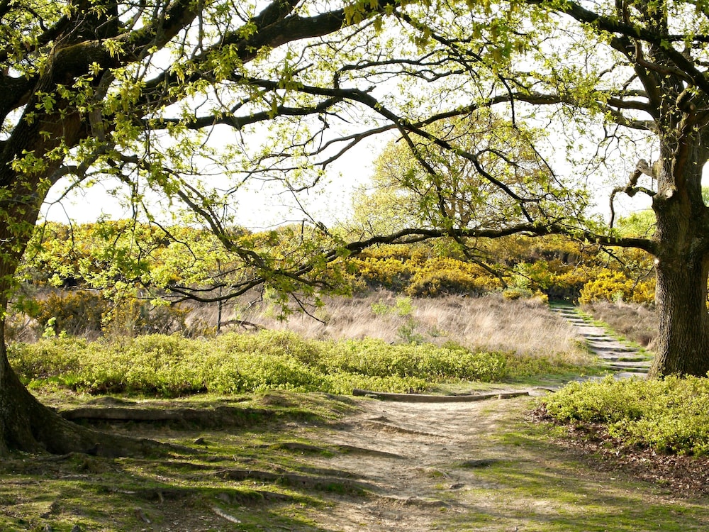 stayokay apeldoorn