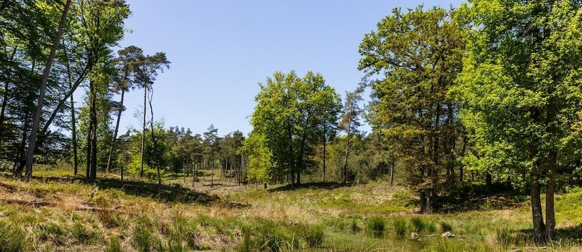 Stayokay Apeldoorn,Arnhem>>Apeldoorn,2 star