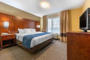Comfort Suites Findlay I-75,Ohio>>Findlay,3 star