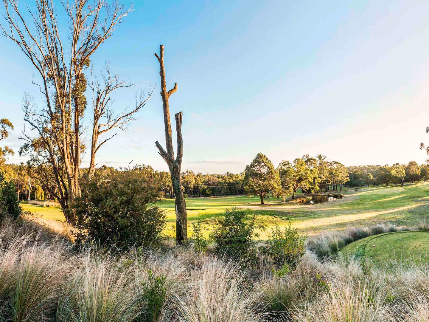 the sebel creswick forest resort