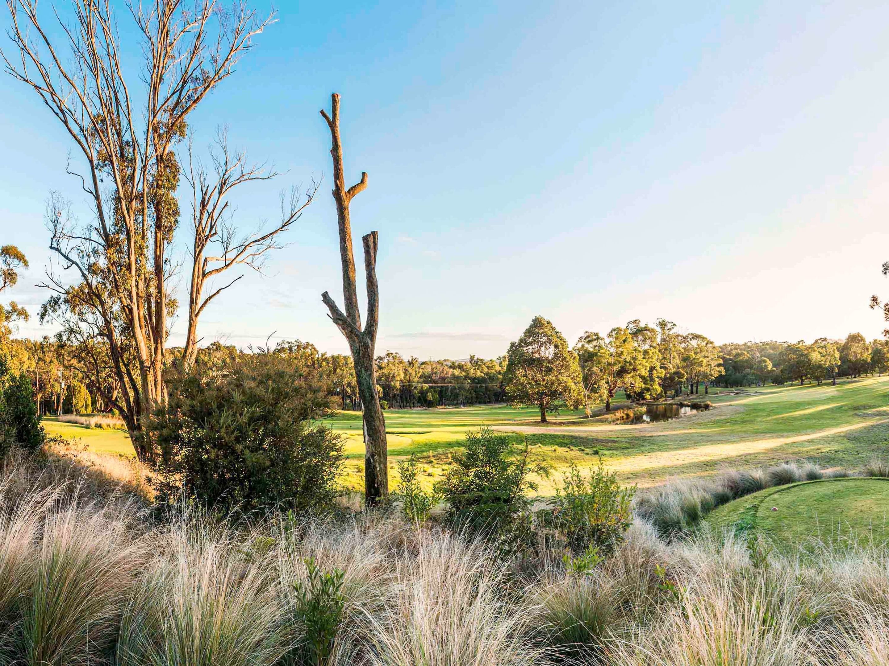 the sebel creswick forest resort