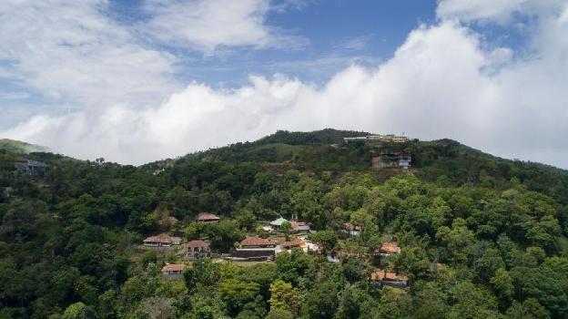 paradisa nature resort