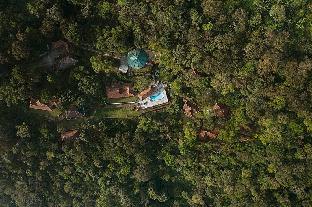 paradisa nature resort