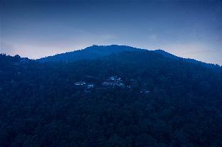 paradisa nature resort