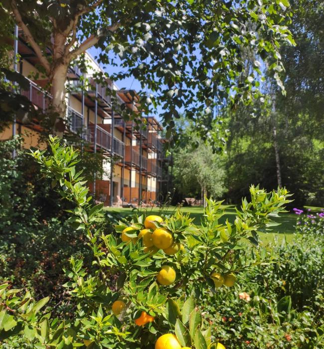 heide spa hotel and resort