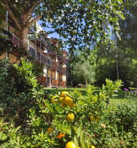 heide spa hotel and resort