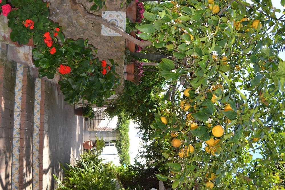 procida