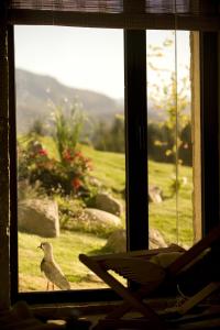 san martin de los andes