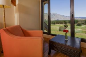 san martin de los andes