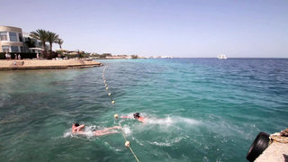 seagull beach resort families and couples only all inclusive