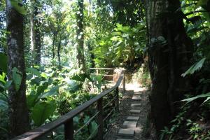 red frog beach island resort