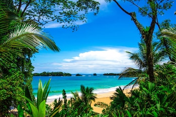 red frog beach island resort