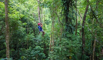 red frog beach island resort